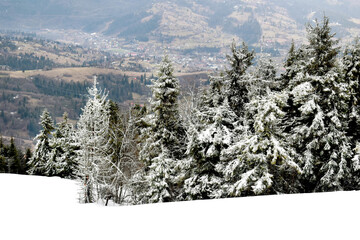 winter landscape in the mountains