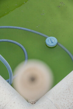 The unfocused stick of the pool cleaner. on the dirty water of the pool. Summer maintenance concept.