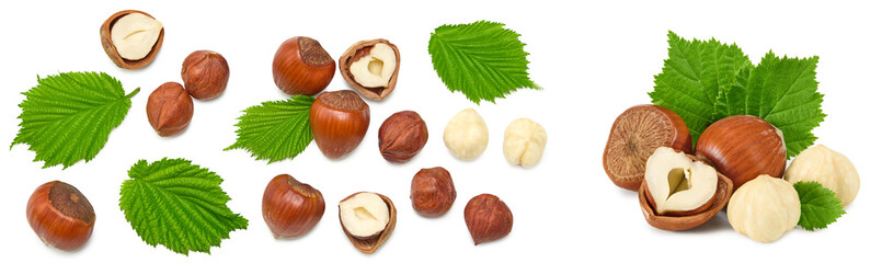 hazelnuts with green leaf isolated on white background macro. clipping path