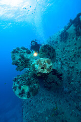 Scuba divers explores propeller of sunken shipwreck. Red sea, Egypt