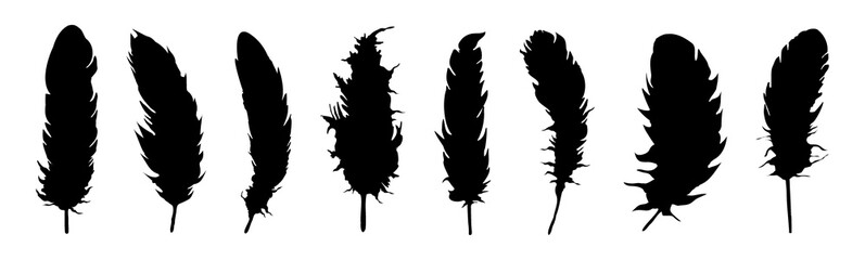 Set of realistic vector goose or swan feathers of various shapes. Ecological feather filler for pillows, blankets or jackets.Vector concept design,line art.