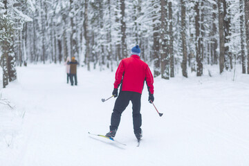People ski in winter on a ski track through a winter forest.Cross Country skiing.