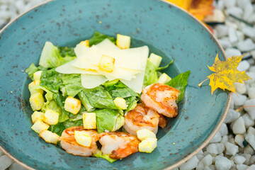 Caesar salad with shrimps