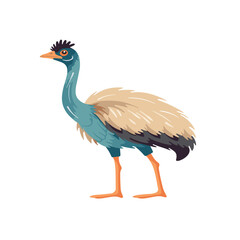 cartoon emu bird Dromaius novaehollandiae flat vector