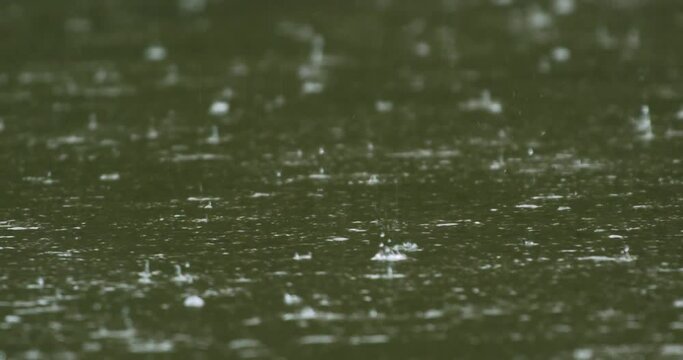 Rhythmic raindrops on the river.