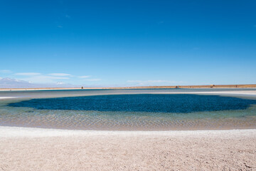Fototapeta na wymiar Laguna Céjar, desierto de Atacama, Chile