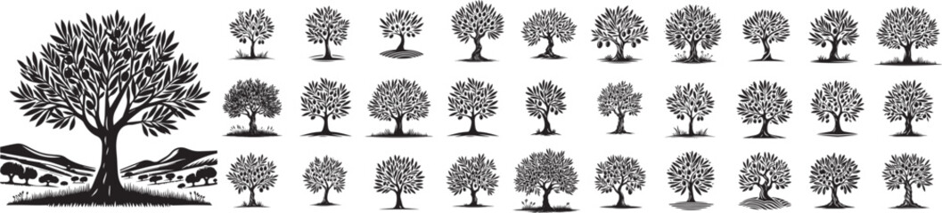 Olive trees, collection of black and white vector graphics set