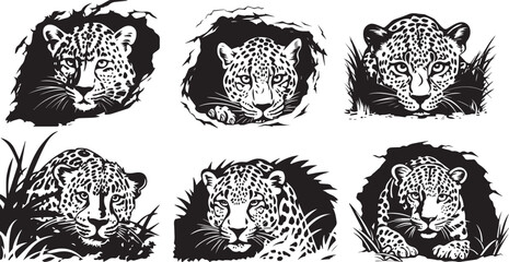 Cheetah, leopard sneaking, animal head black and white vector graphics - obrazy, fototapety, plakaty