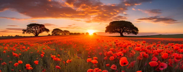 Raamstickers Poppy Fields. Sunset Blooms © EwaStudio