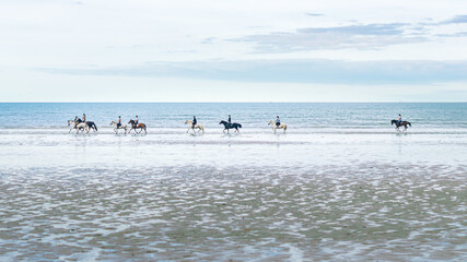 horse riding on the beach
