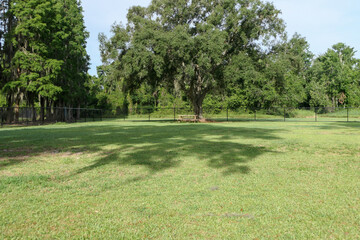 isolated Picnic bench