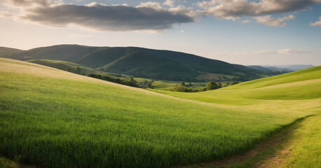 Obraz premium A wide and vivid panoramic view of a lush green meadow against a blue sky, representing the simplicity and beauty of nature in a rural landscape.