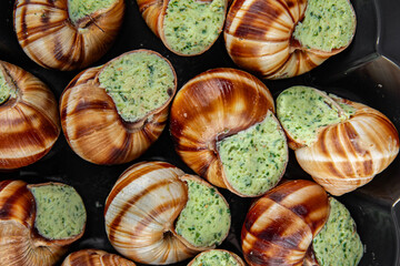 snails with green oil aromatic herbs tasty fresh healthy eating cooking appetizer meal food snack on the table copy space food background