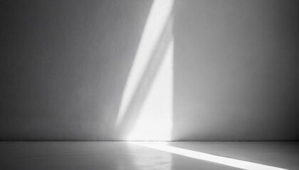 empty room bathed in ethereal white light, casting gentle shadows on pristine floor, capturing tranquility and simplicity