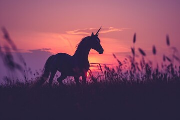 A beautiful image capturing a horse running freely through a field at sunset. Perfect for nature and outdoor enthusiasts.