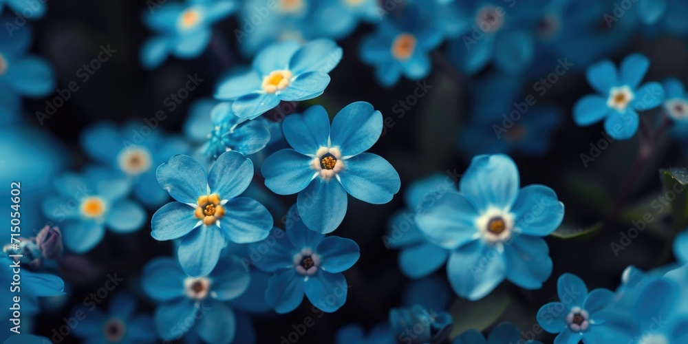 Poster a bunch of blue flowers with yellow centers. perfect for adding a pop of color to any floral arrange