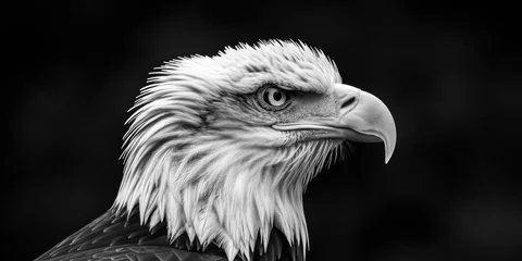Poster Im Rahmen A captivating black and white photo of an eagle in flight. Perfect for nature enthusiasts and wildlife-themed projects © Fotograf