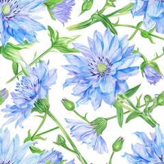 Watercolor chicory flower with leaves seamless pattern.