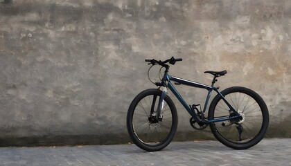 Fototapeta premium bicycle on the street