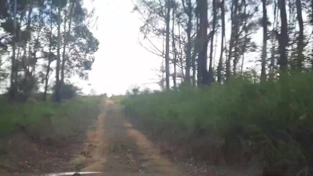 time lapse dirigindo em estrada de terra na cidade de Boa Esperan&ccedil;a, Estado de Minas Gerais, Brasil
