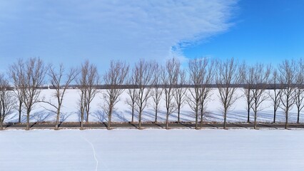 Krajobraz zimowy, śnieg na stoku górskim, drzewa.