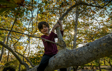 boy in park climbing
