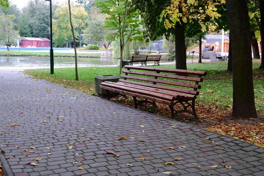The first fallen autumn leaves on the sidewalk in a park with a bench.