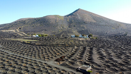 Volcanic landscape in island. Wine production in Lanzarote. La Geria