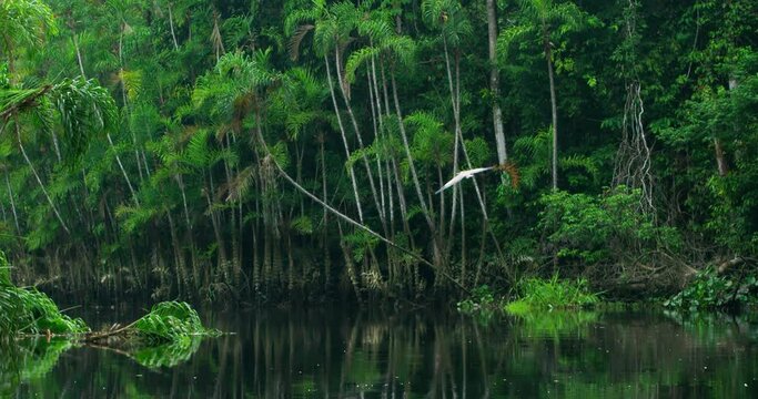 Majestic footage of nature spot merging river and land as a painting.