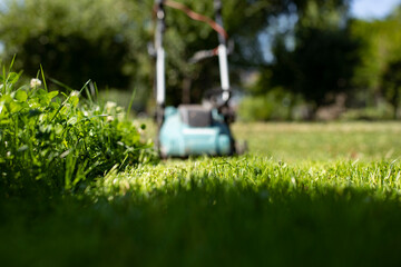 Freshly trimmed deep grass and out of focus, sunny afternoon, low angle view. Fresh cut backyard grass, electric lawn mower