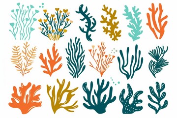 Fototapeta na wymiar Set of vector watercolor seaweed and corals isolated on white. Sea theme, design element, decoration of water entertainment places, parks, beaches.