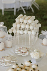 Obraz na płótnie Canvas Wedding sweets and candies table, white theme.