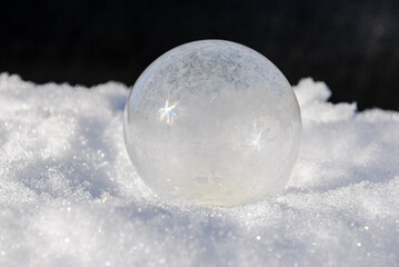 Crystalizing Ice Bubble in the fresh white snow