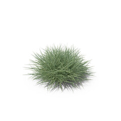 Button Grass PNG
