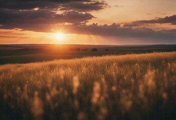 Fototapeta na wymiar Golden Sunset Over Serene Prairie Landscape