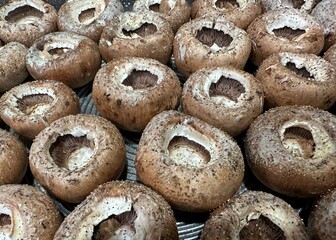 Baby portobello mushroom caps arranged in rows