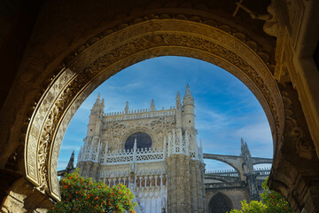 View of Seville Cathedral with giralda tower and oranges trees in the foreground, Spain