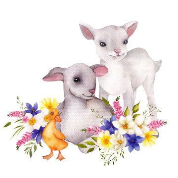 Watercolor compositions with cute farm baby animals and floral bouquet, cute duck, lamb, bunny, isolated on transparent background, PNG files for easter cards, posters, invitation.