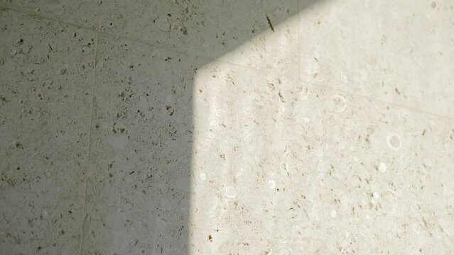 Close up view of exterior cladding tiles on building. Slab with rough texture and speckled with various small dark inclusions. Distinct shadow dividing two panels
