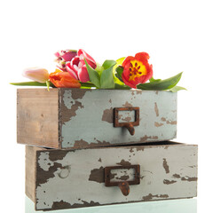 Two stacked drawers with tulips
