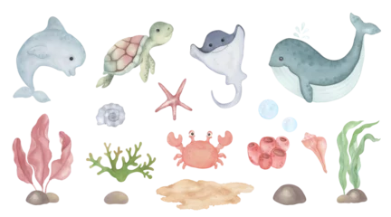 Crédence de cuisine en verre imprimé Vie marine Watercolour set of marine animals