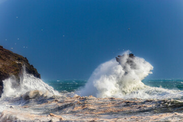 An Searrach seastack-Dingle Kerry Ireland