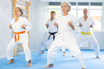 Diligent elderly women and men attendee of karate classes practicing kata standing in row with others in sports hall