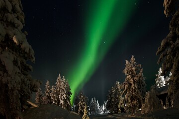 Fototapeta na wymiar Northern lights at night in Finnish Lapland 