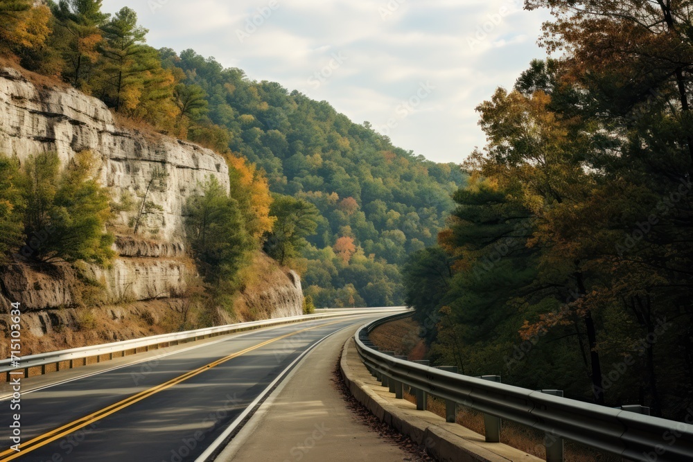 Poster a curve in the road with trees on both sides of the road and a cliff on the other side of the road.