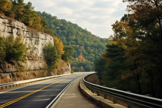  a curve in the road with trees on both sides of the road and a cliff on the other side of the road.