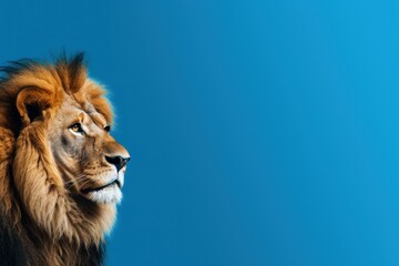  a close up of a lion's face against a blue background with the sky in the backround.