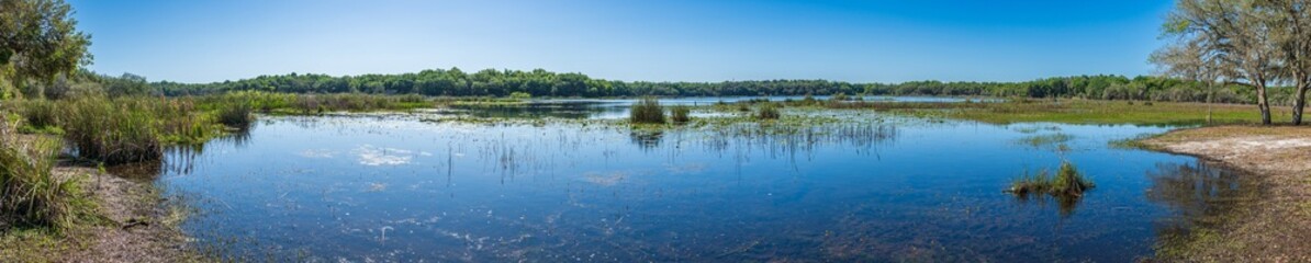 Panorama of Lake Holathlikaha - Fort Cooper State Park, Inverness, Florida, USA