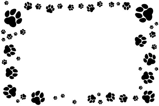 frame of black paw silhouettes on white background
