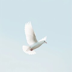 A minimalist composition featuring a white dove in flight against a clear sky. The image represents purity and freedom, isolated on white background.
